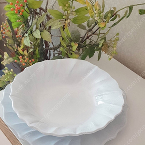 이탈리아 VBC 까사 명품접시