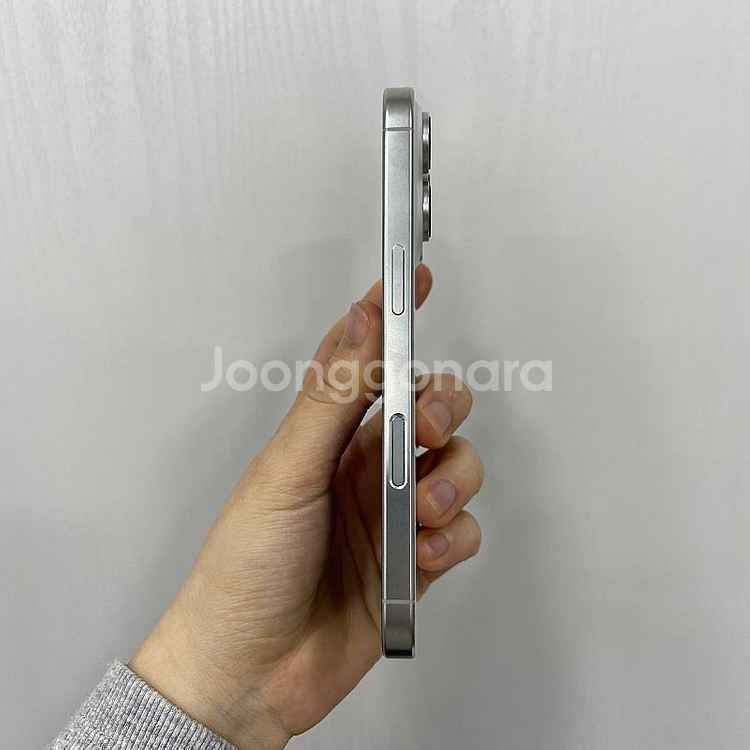 74010 아이폰16프로 화이트티타늄 256GB 부산 ...--4