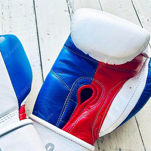 팝니다_프라이즈링 복싱 글러브 프로페셔널SS_미사용 새제품