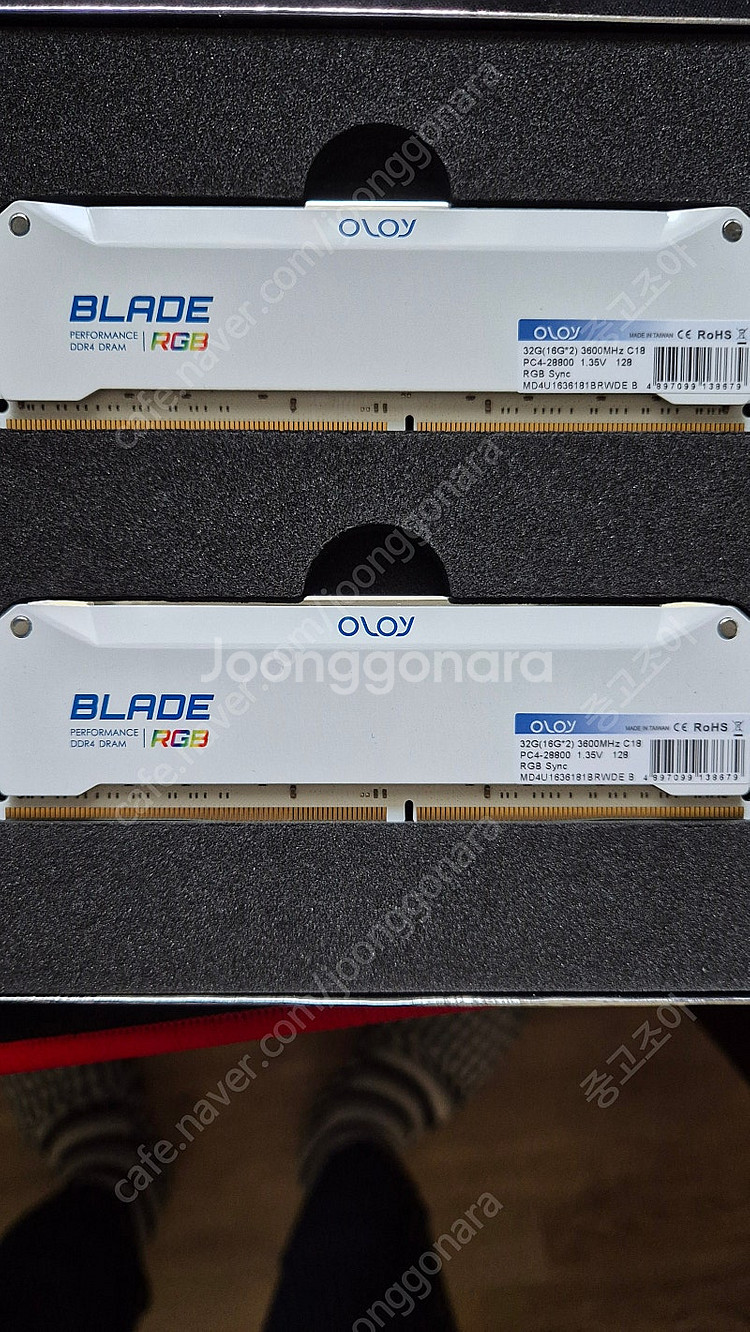 OLOY DDR4 3600 CL18 32G 화이트--0