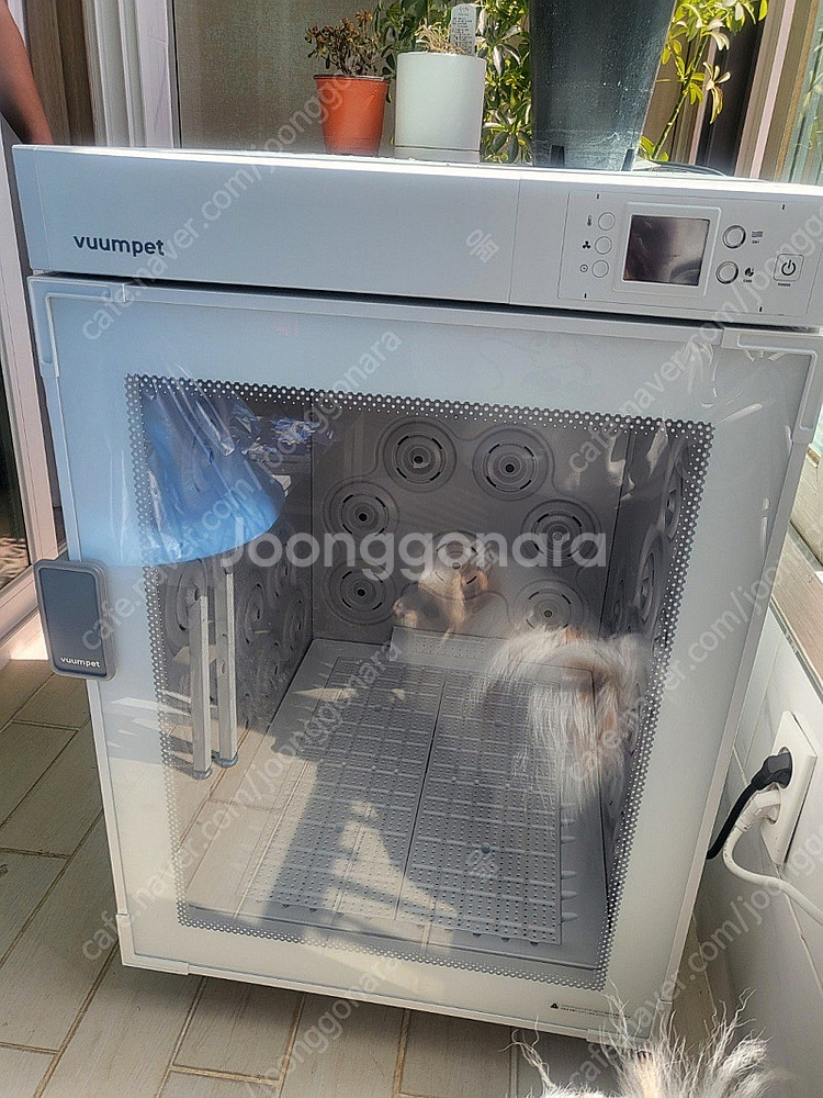 붐펫 드라이룸 k200n (마지막 가격내림)--0