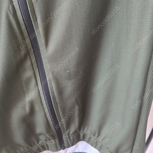 산티니 퓨어리즘