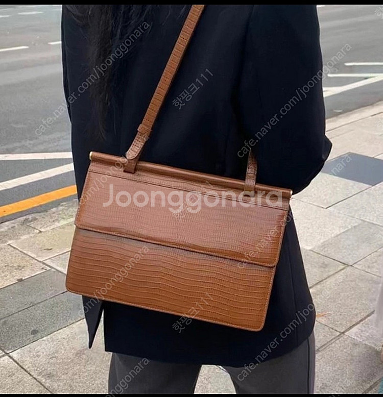 투티에 삭 트라이앵글백 리자드--0