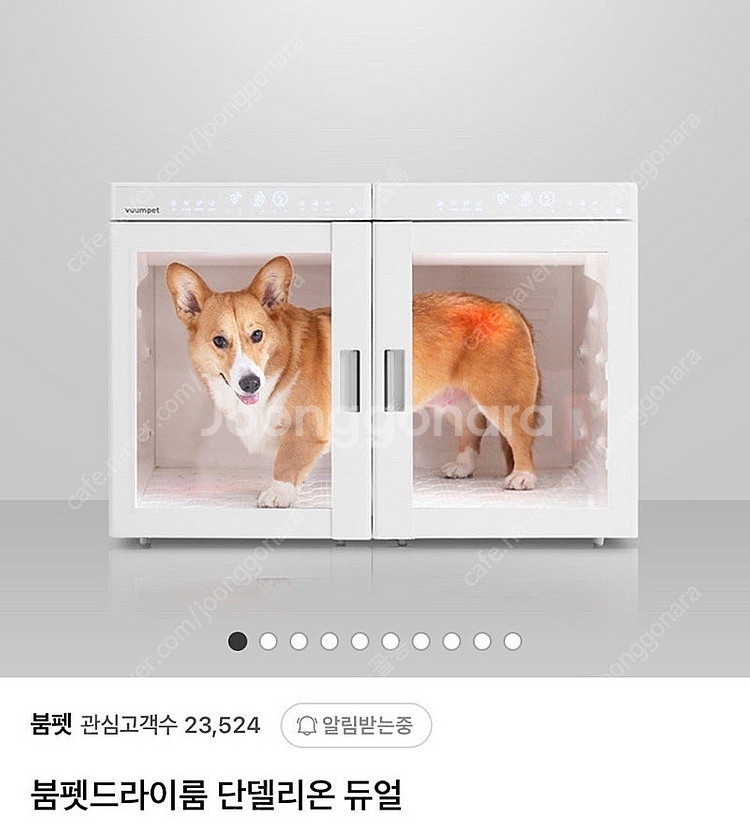 붐펫 드라이룸 삽니다--0