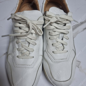 나무하나 키높이 스니커즈 250(남녀공용)