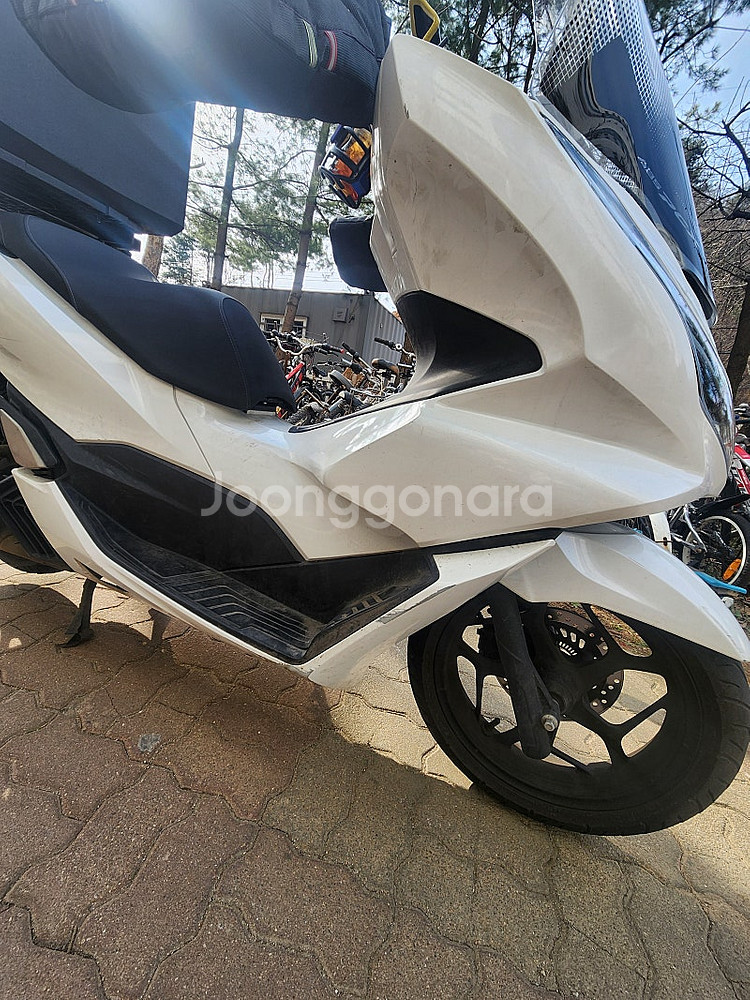 Pcx125 23년식--1