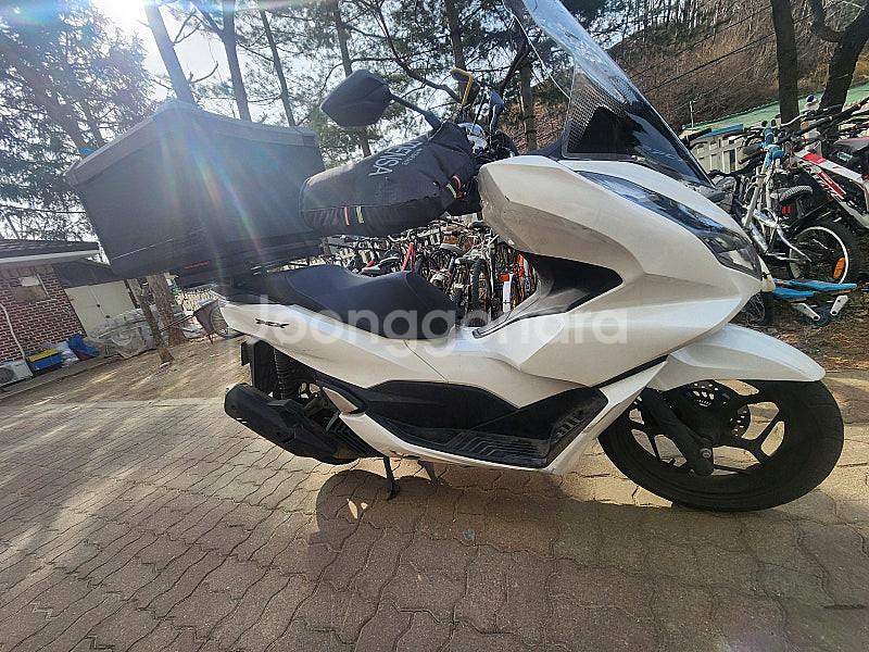 Pcx125 23년식--2