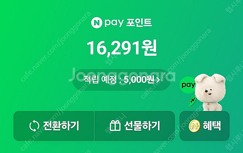 네이버페이 포인트--0