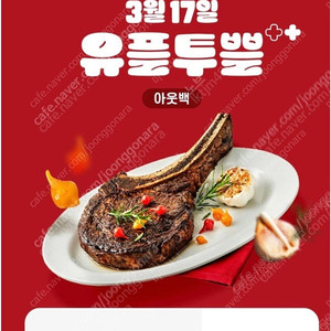 아웃백 20% 할인권(오늘까지)