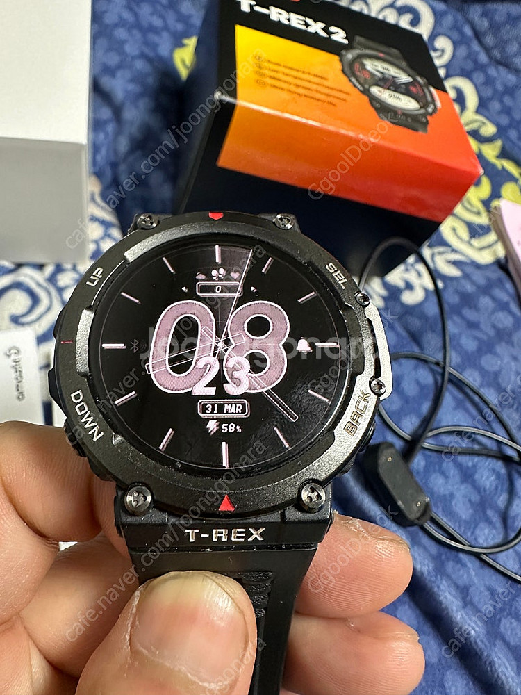 어메이즈핏 티렉스2--4