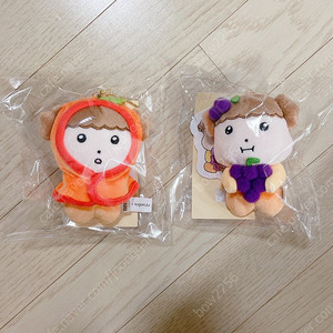 마루는 강쥐 코코제로 감귤마루 포도마루