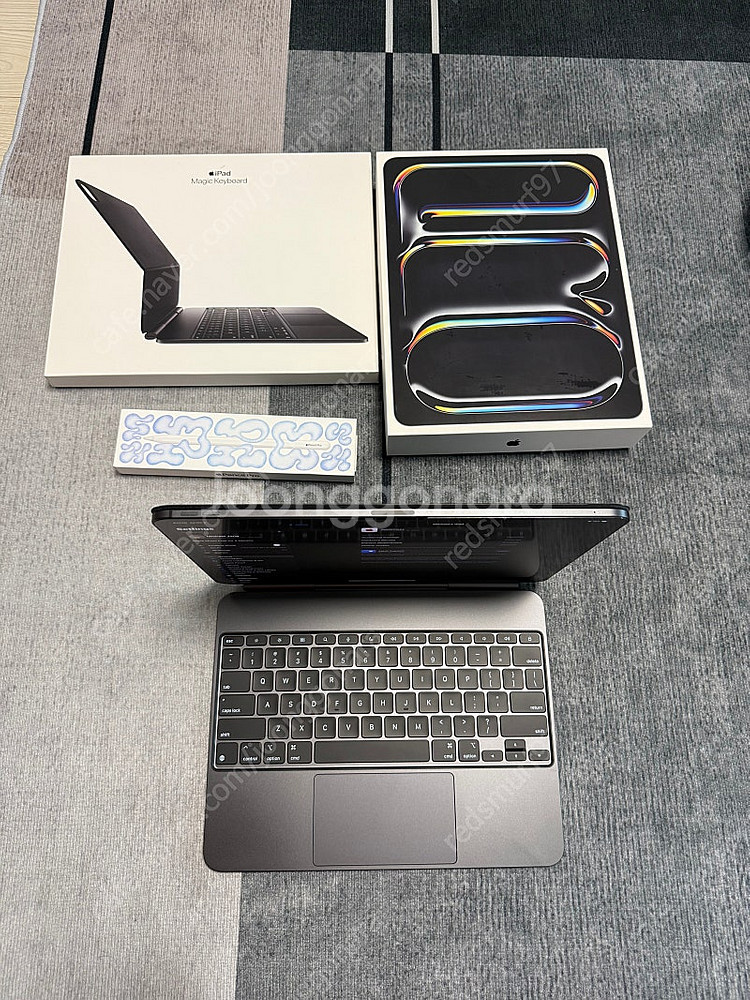 아이패드 프로 m4 13인치 512 GB WiFi 스블...--1