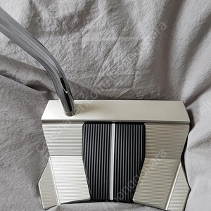 스카티카메론 팬덤 11.5 34인치