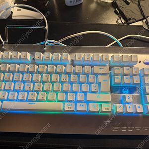 TS PLUNGER 리얼플런저 기계식키보드