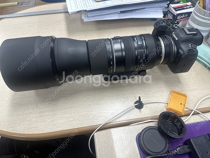 탐론 150-600g2 캐논--0