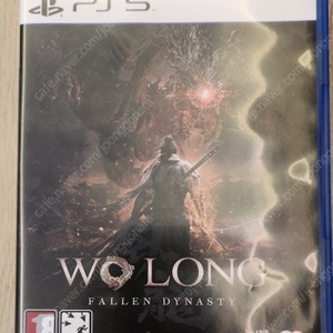 ps5 와룡