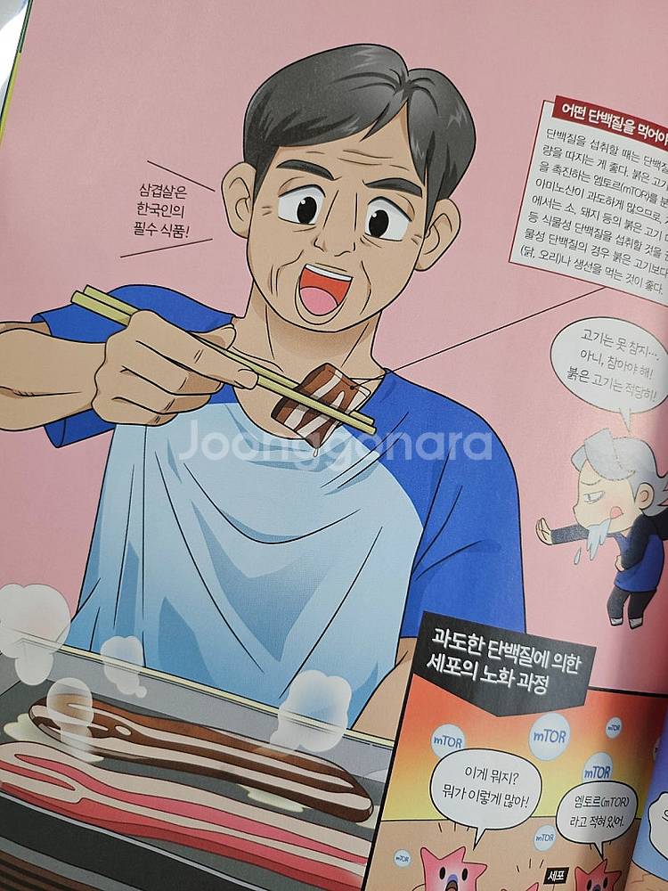 과학소년,위즈키즈 4월 꼭 구독해야하는 이유--5