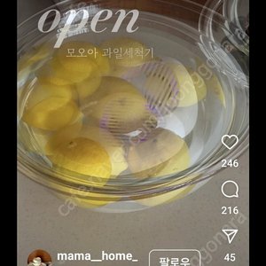 모오아 잔류농약 과일세척기 새상품