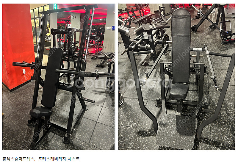 프리모션 브이스쿼트 해머스트렝스 iso 싸이벡스 포커스...--5
