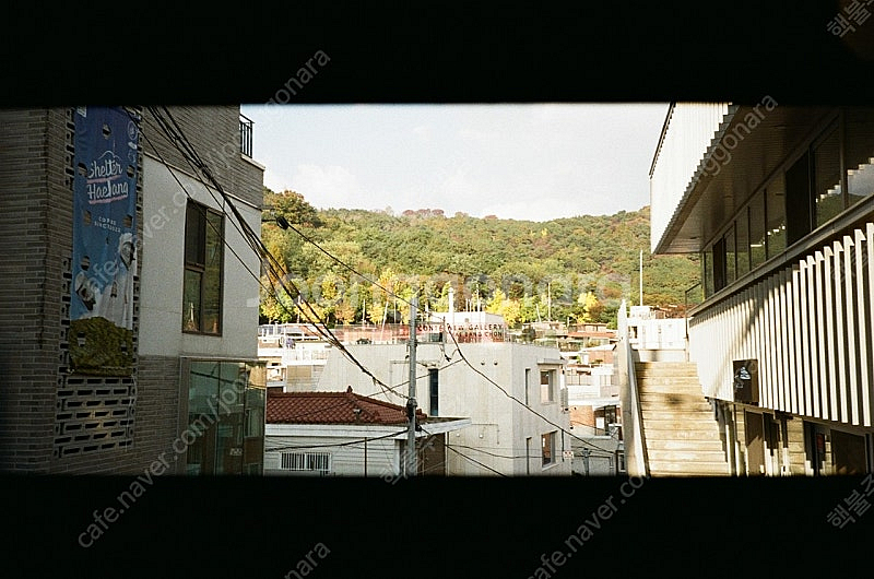 시그마 sd1m sigma sd1m 삽니다--0