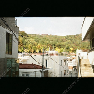 시그마 sd1m sigma sd1m 삽니다