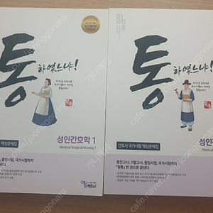 성인간호학 필통 문제젭
