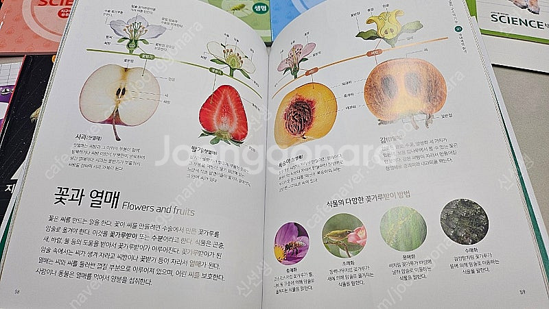 웅진씽크빅 AR사이언스백과 (생명,물질,운동과에너지,지...--2