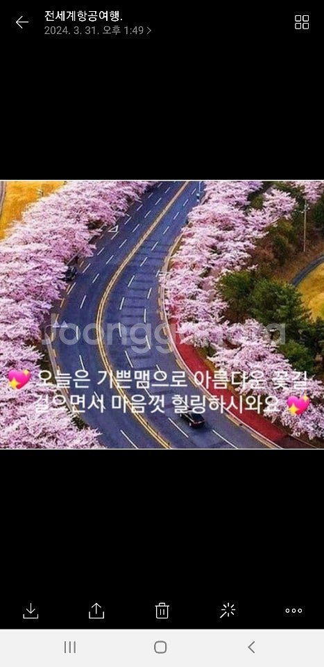 제주5월연휴항공권(5/2,3,4.-5/6)(6/6-8)...--0