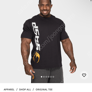 gasp 오리지널 반팔 짐웨어압도프리덤올라잇