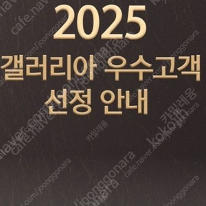 갤러리아 실적 판매(216만원)