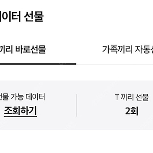 sk데이터 2기가