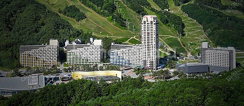 평창 휘닉스파크 콘도 스카이스위트 조식2인 곤도라2인 ...--0