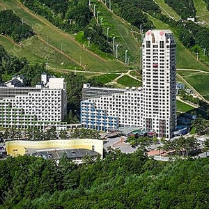 평창 휘닉스파크 콘도 스카이스위트 조식2인 곤도라2인 4월5일 토요일 판매