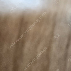 디핀 옥수 날짜 변경 (5.24 18시 > 4.12, 13 점심)