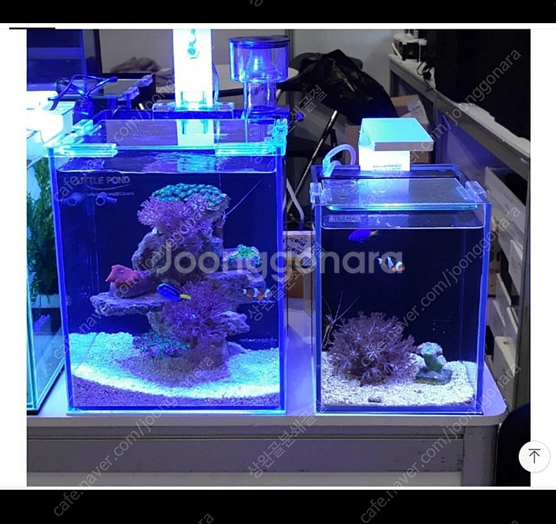 새상품) 리틀폰드 해수어항 30큐브 풀세트 +전용다이--2