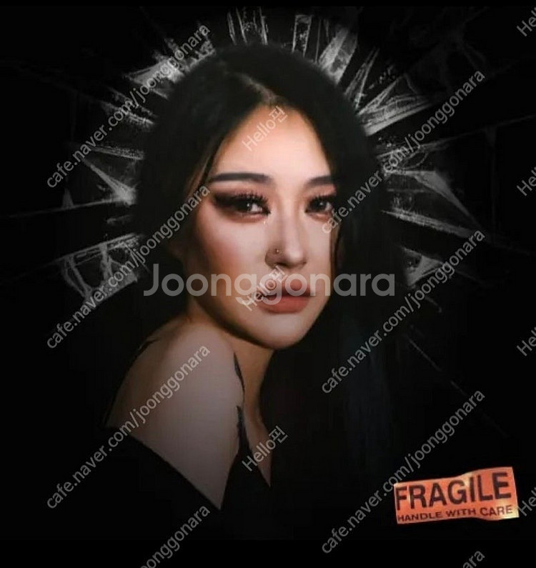 (구매) 카모 Fragile 싸인반 삽니다--0
