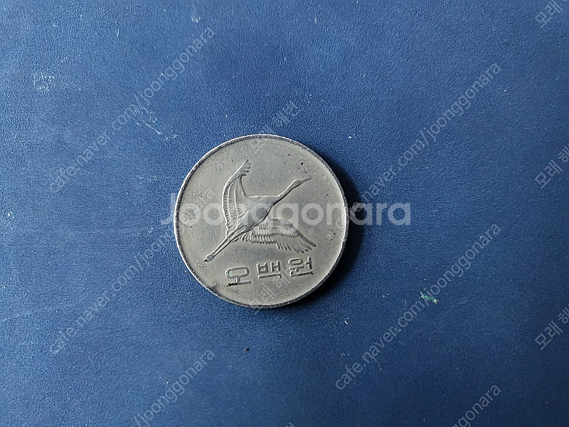 82년 500원 무광 주화--1