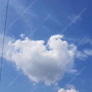 김또깡
