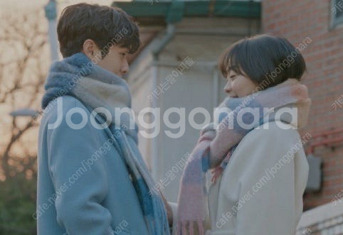 아크네스튜디오 체크 머플러 (핑크라이트블루그린)--5