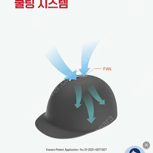 암웨이 탈모 두피케어 L400