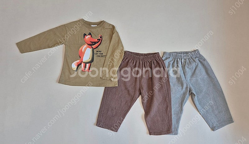 일괄) 자라 티24m, 아오스타 팬츠L--1