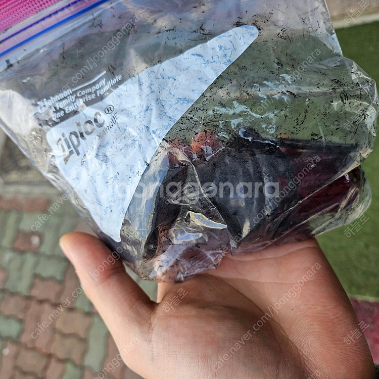 짚 정품 픽시 카본 휠셋--3