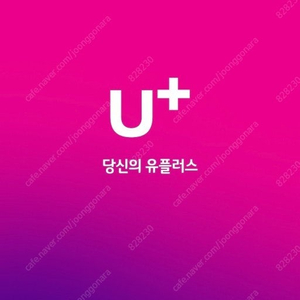 엘지 LG 유플러스 데이터 2기가 2500원 팝니다