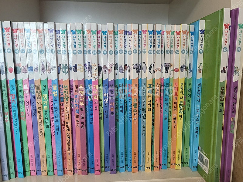 아람 자연이랑 판매해요--2