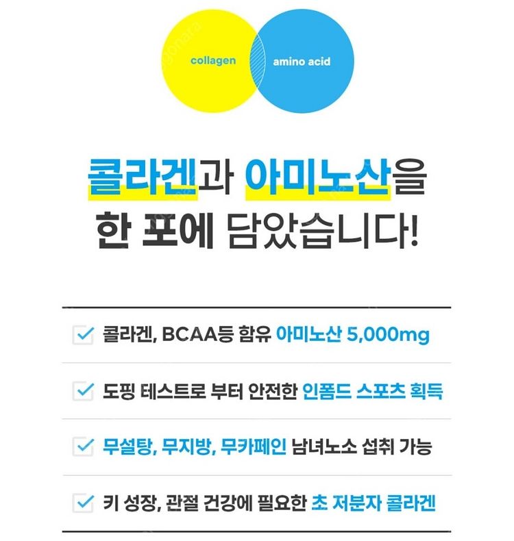 스포츠용품(자전거고글,선글라스,고글,장갑,헬맷,스키플래...--2