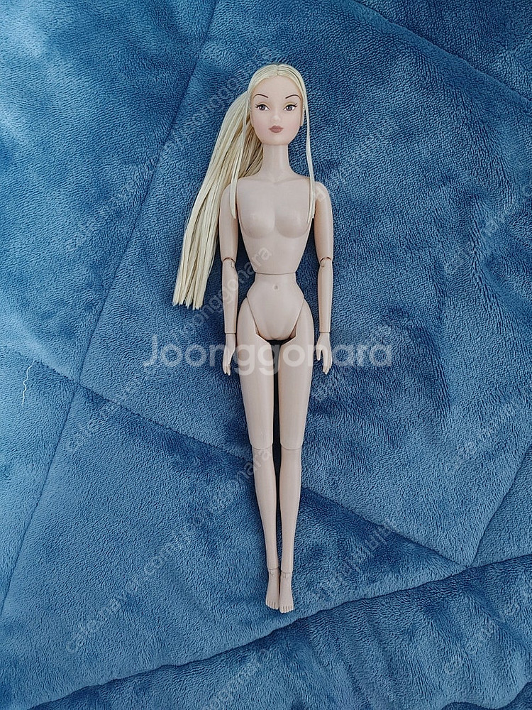 바비인형 수지돌 누드돌 모모꼬 포피파커 패션로얄티 실크...--3