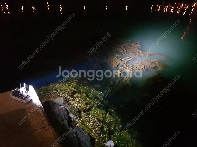 자작 투컬러 집어등--7