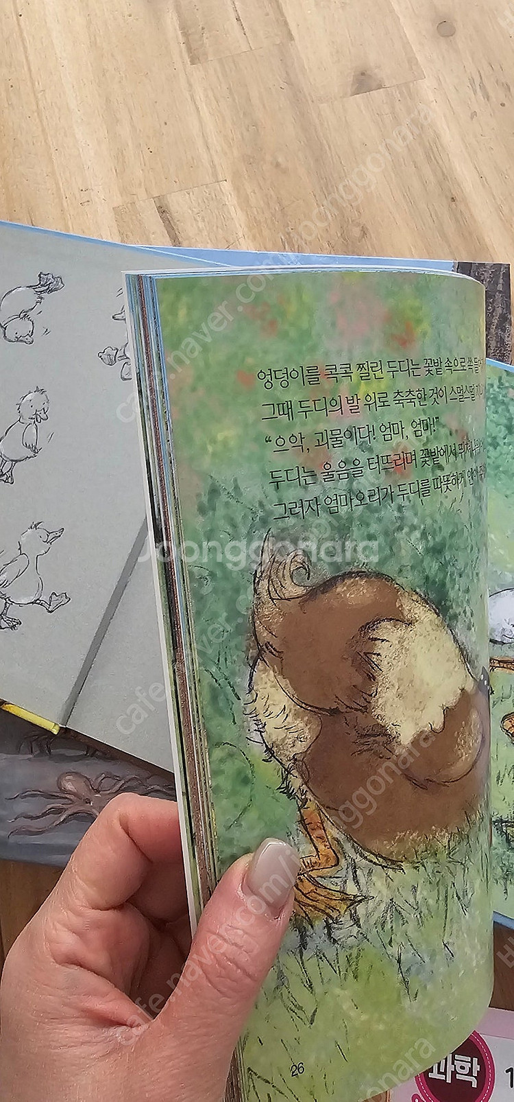 프뢰벨 수과학동화 풀구성 15만원--3