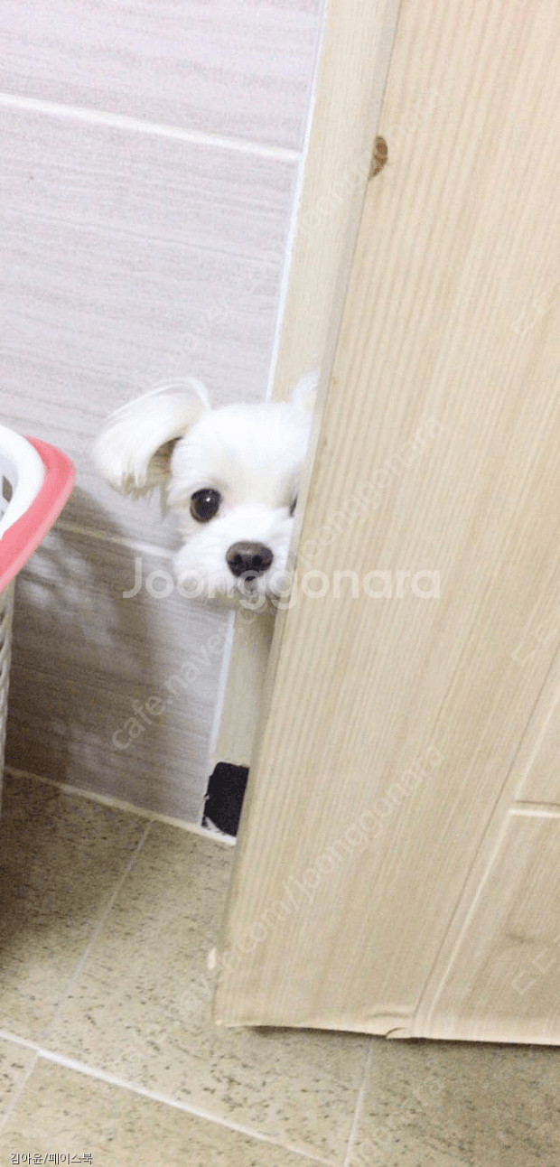 스타벅스 아메리카노 3650원한장--0