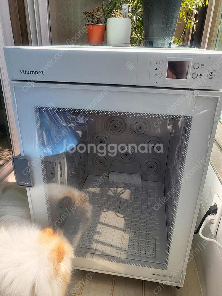 붐펫 드라이룸 k200n--0